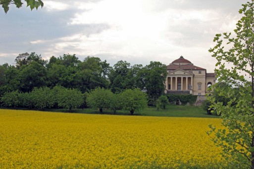 Villa Rotonda a Pasqua 2017 circondata dalla colza in fiore
